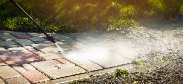 Best Soft Washing  in Tatamy, PA
